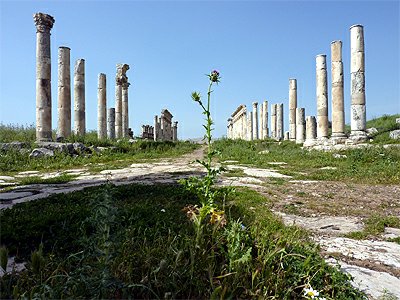 Syrie Apamea kolonada