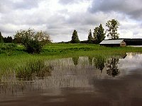 Kolin kansallispuisto jezero