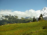 Švýcarské Alpy