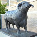 buffalo statue Oxford railway station
