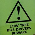 low tree bus driver beware London