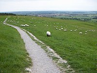 White horse valley