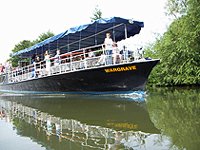 trip on the swingboat