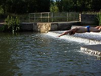 Swimming in the river Thames